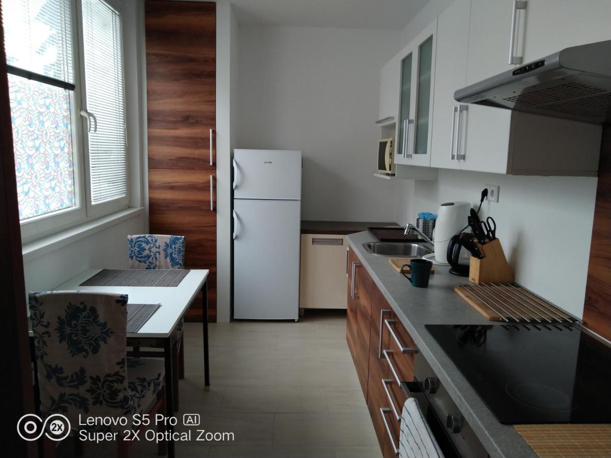 Apartman S Virivkou A Infrasaunou V Olomouci Eksteriør bilde